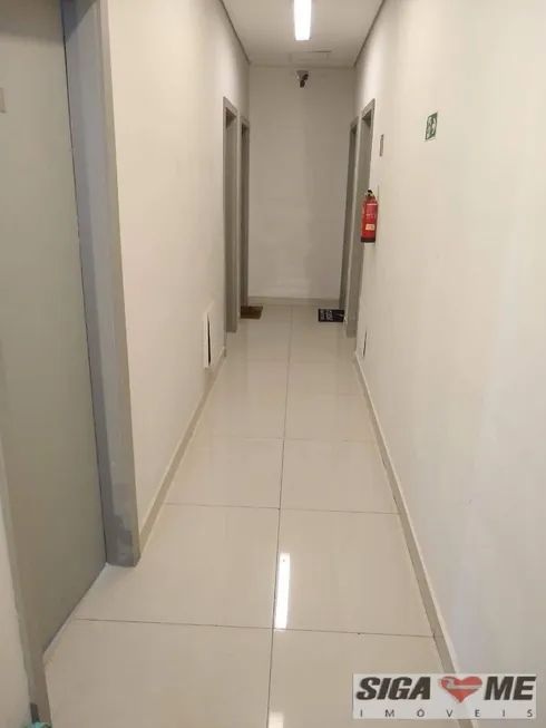 Foto 1 de Sala Comercial para alugar, 35m² em Vila Mascote, São Paulo