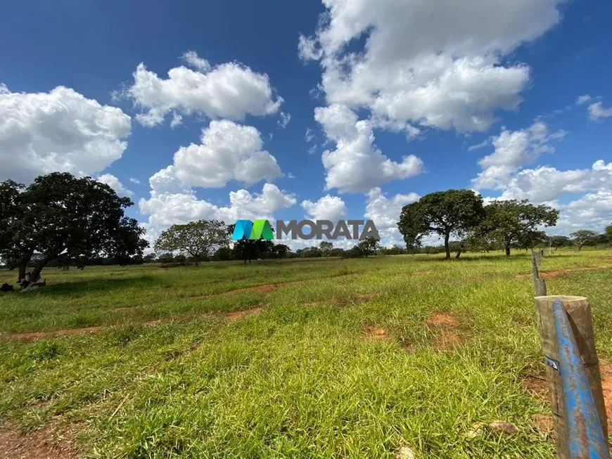 Foto 1 de Fazenda/Sítio com 1 Quarto à venda, 290m² em Rural, Curvelo