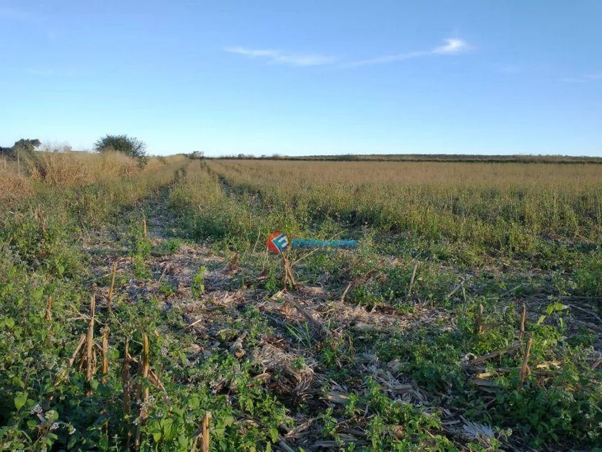 Foto 1 de Lote/Terreno à venda, 20000m² em Chácara Cruzeiro do Sul, Sumaré