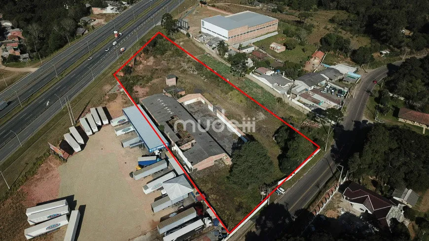 Foto 1 de Lote/Terreno à venda, 10000m² em Campo Largo da Roseira, São José dos Pinhais