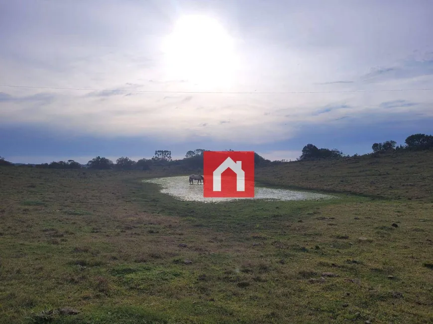 Foto 1 de Lote/Terreno à venda, 30000m² em Criúva, Caxias do Sul