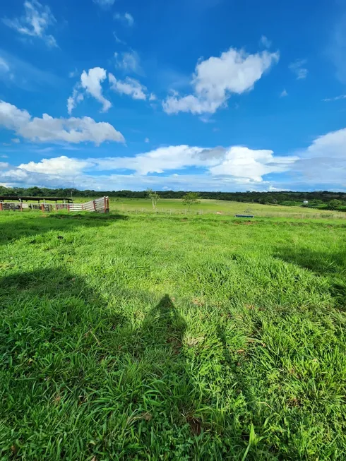 Foto 1 de Fazenda/Sítio com 5 Quartos à venda, 3m² em , Uruana