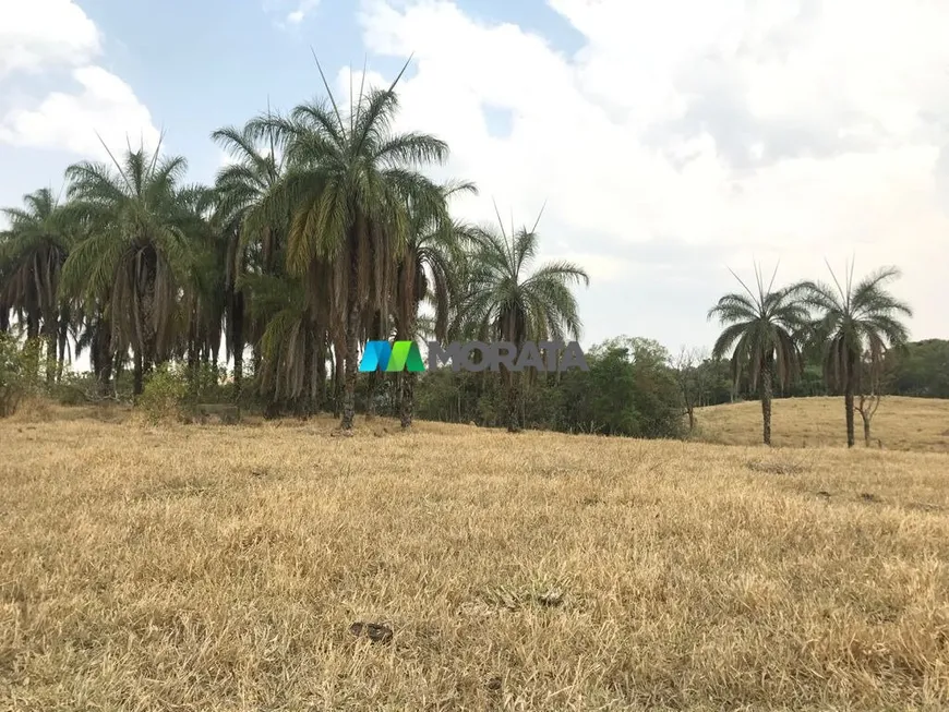 Foto 1 de Fazenda/Sítio com 1 Quarto à venda, 285m² em Zona Rural, Córrego Danta