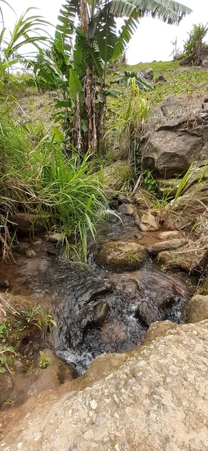 Foto 1 de Fazenda/Sítio com 2 Quartos à venda, 70m² em Sao Pedro da Serra, Nova Friburgo