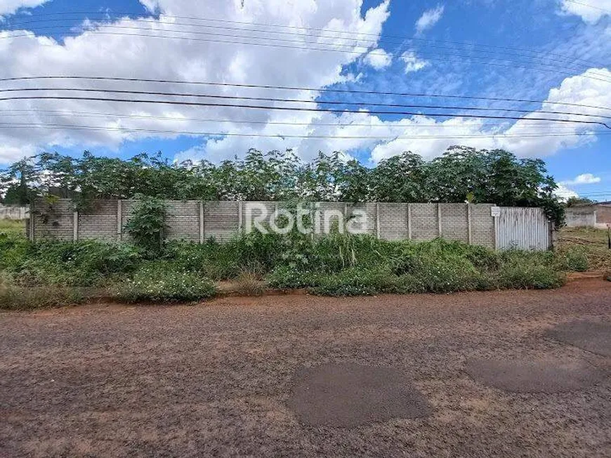 Foto 1 de para alugar, 1000m² em Cidade Jardim, Uberlândia