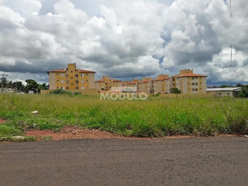 Foto 1 de para alugar, 6000m² em Chácaras Tubalina E Quartel, Uberlândia