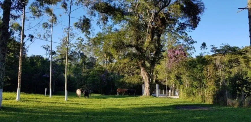 Foto 1 de Fazenda/Sítio com 3 Quartos à venda, 170000m² em Puris, Ibiúna