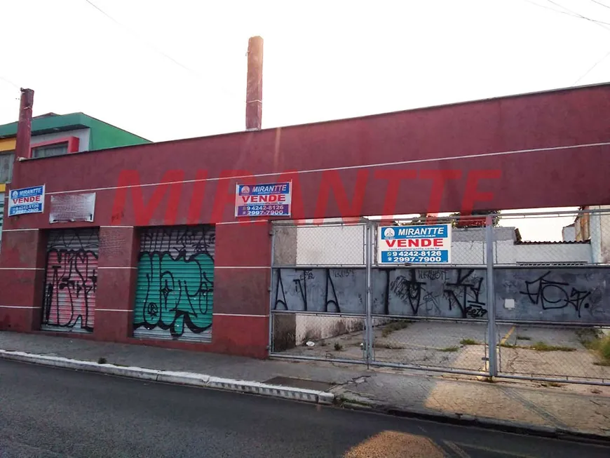 Foto 1 de Imóvel Comercial à venda, 600m² em Vila Mazzei, São Paulo