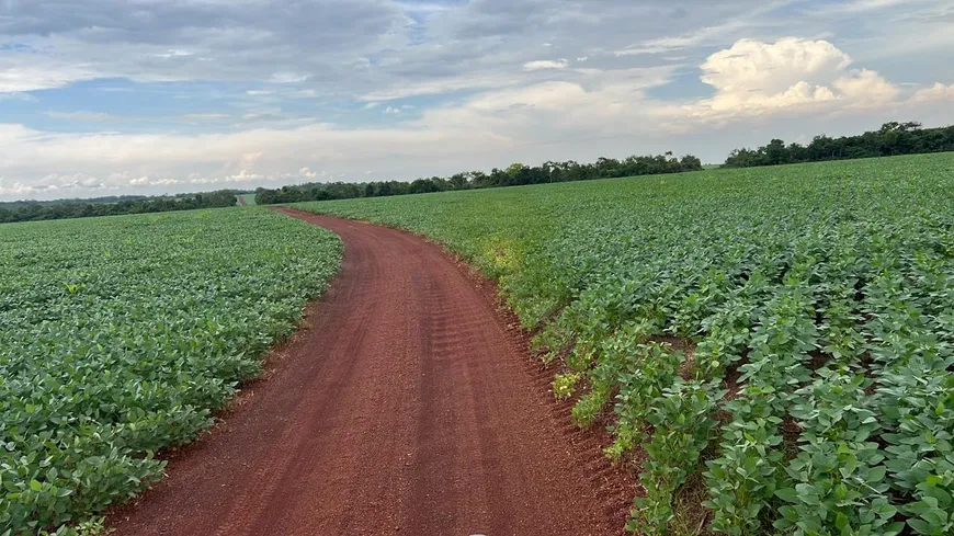 Foto 1 de Fazenda/Sítio com 7 Quartos à venda, 503m² em , Santa Maria do Tocantins