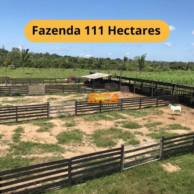 Foto 1 de Fazenda/Sítio com 2 Quartos à venda, 1110000m² em , Canutama