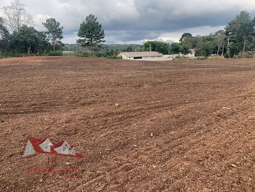 Foto 1 de Fazenda/Sítio com 1 Quarto à venda, 7500m² em Cotia, São José dos Pinhais