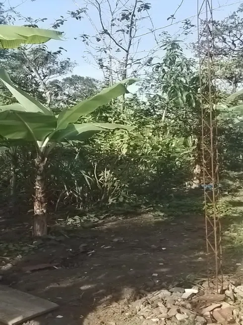 Foto 1 de Fazenda/Sítio com 3 Quartos à venda, 500m² em Centro, Mongaguá