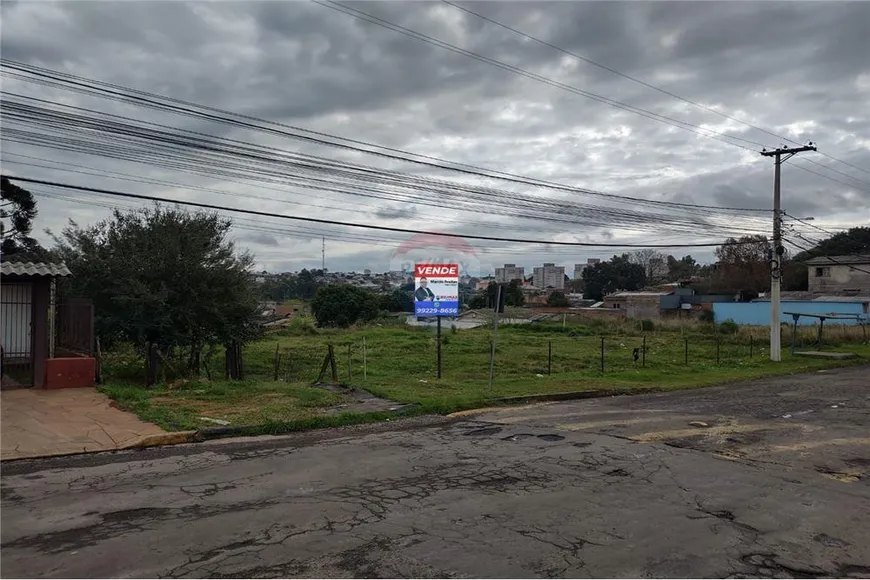 Foto 1 de Lote/Terreno à venda, 2694m² em São Luiz Gonzaga, Passo Fundo