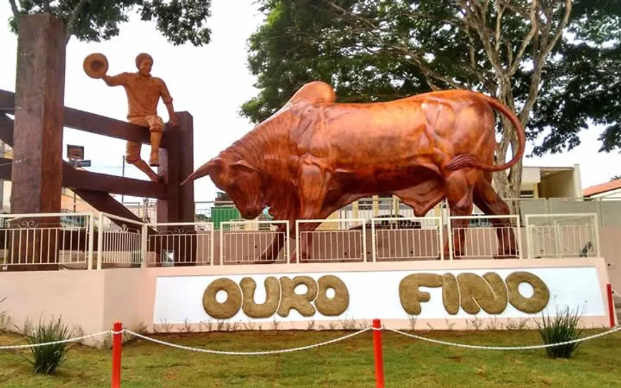 Foto 1 de Fazenda/Sítio com 1 Quarto à venda, 1000m² em Zona Rural, Ouro Fino