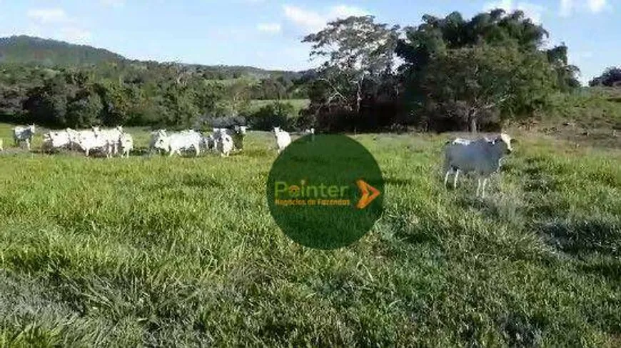 Foto 1 de Fazenda/Sítio à venda, 290400m² em , Araçu