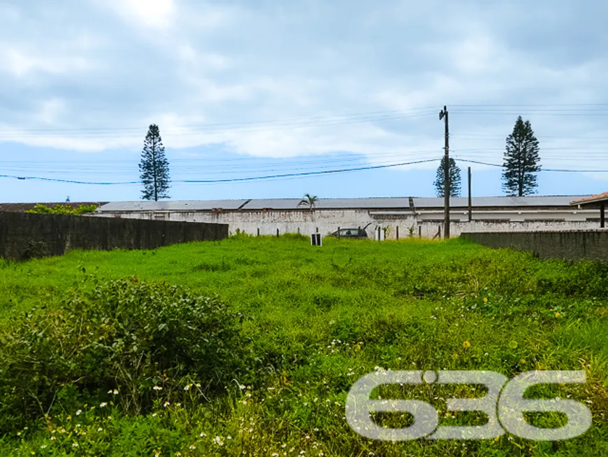 Foto 1 de Lote/Terreno à venda, 490m² em Praia do Ervino, São Francisco do Sul