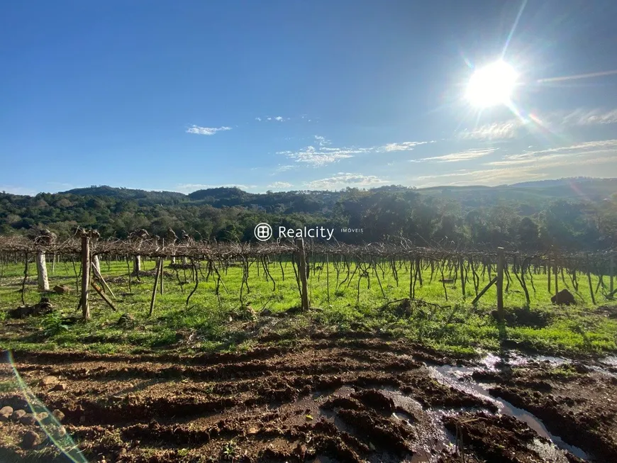 Foto 1 de Lote/Terreno à venda, 20000m² em Vale dos Vinhedos, Bento Gonçalves