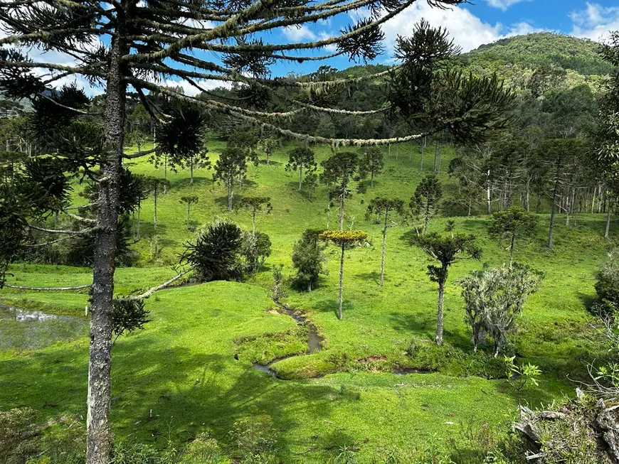 Foto 1 de Fazenda/Sítio à venda, 700000m² em Zona Rural, Urubici