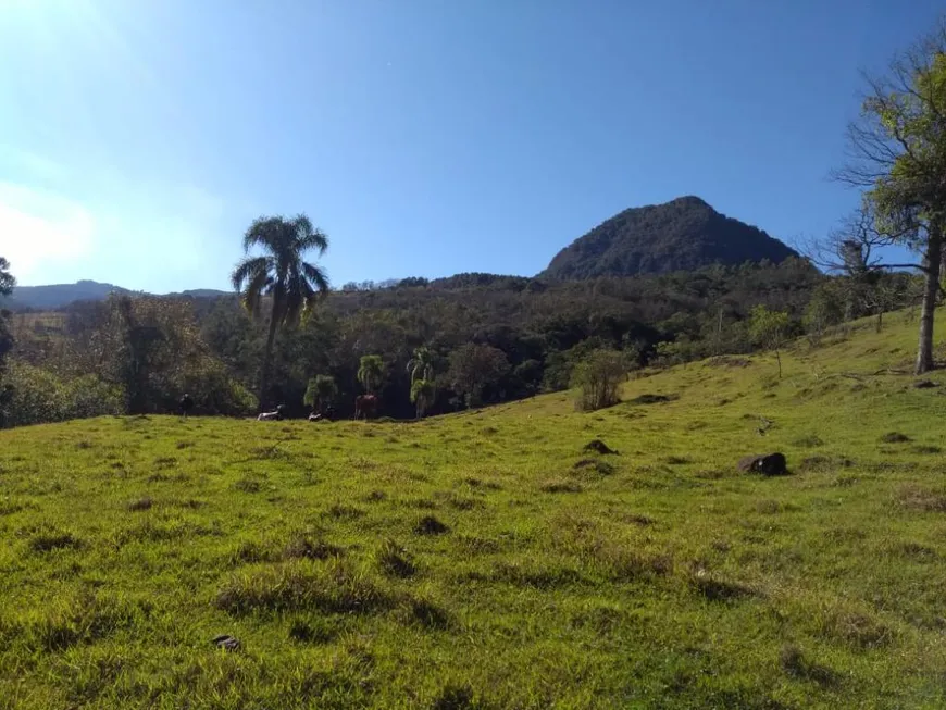 Foto 1 de Fazenda/Sítio com 1 Quarto à venda, 450000m² em , Canela