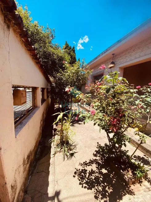 Foto 1 de Casa com 4 Quartos à venda, 210m² em Horto Florestal, Belo Horizonte