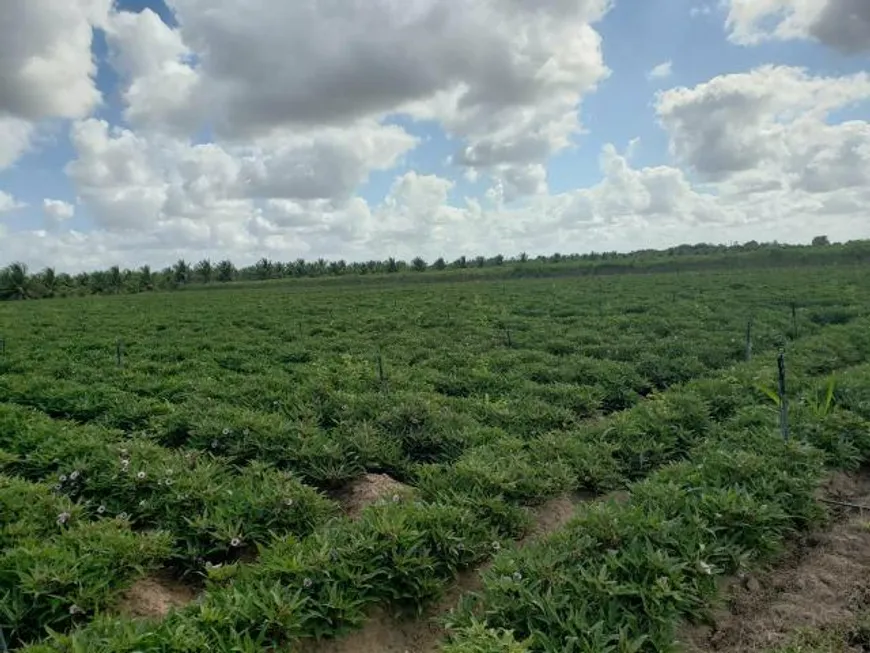 Foto 1 de Fazenda/Sítio com 3 Quartos à venda, 84000m² em Centro, Vera Cruz