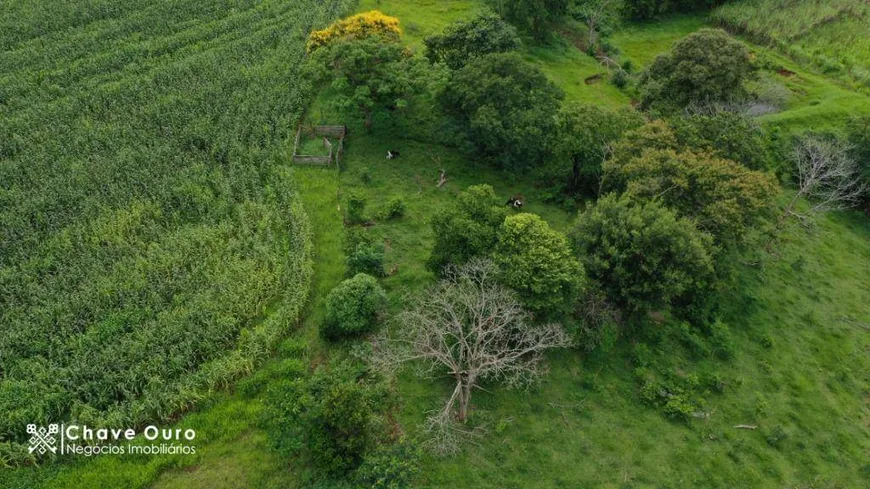 Foto 1 de Fazenda/Sítio com 2 Quartos à venda, 200m² em Zona Rural, Lindoeste