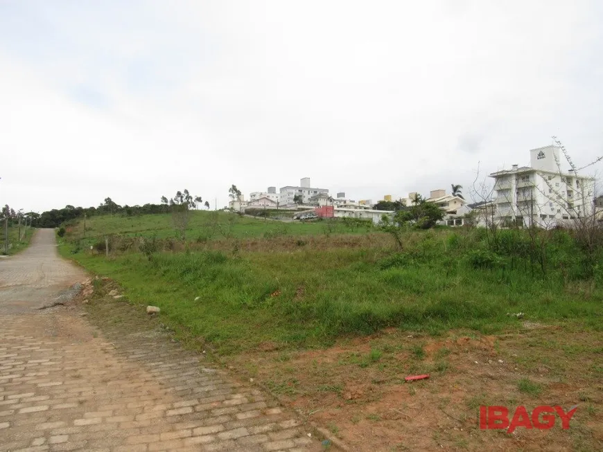 Foto 1 de Lote/Terreno para alugar, 362m² em Areias, São José