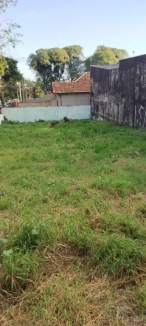 Foto 1 de Lote/Terreno para venda ou aluguel, 354m² em Portão, Curitiba