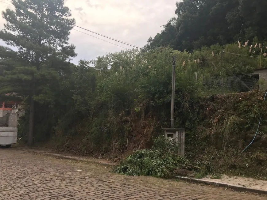 Foto 1 de Lote/Terreno à venda, 741m² em São Roque, Bento Gonçalves