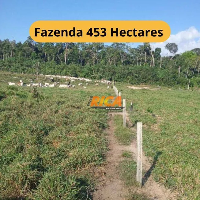 Foto 1 de Fazenda/Sítio à venda, 4530000m² em , Boca do Acre