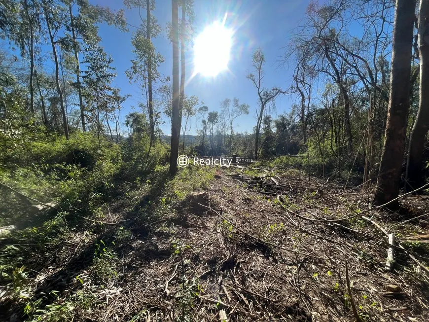 Foto 1 de Lote/Terreno à venda, 18945m² em Barracao, Bento Gonçalves