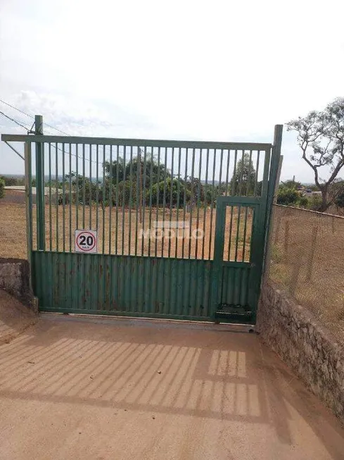 Foto 1 de Fazenda/Sítio à venda, 1000m² em Luizote de Freitas, Uberlândia