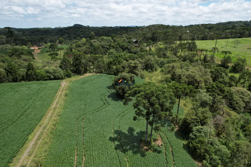 Foto 1 de Fazenda/Sítio à venda, 50000m² em Centro, Campo Alegre