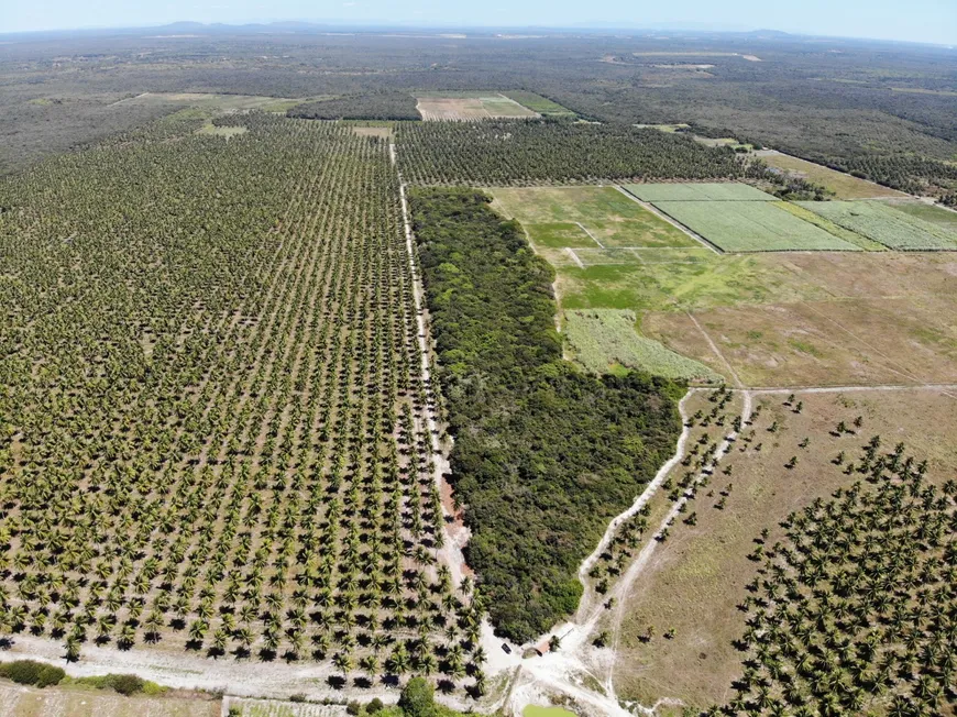 Foto 1 de Fazenda/Sítio com 2 Quartos à venda, 8000000m² em Morro Branco, Beberibe