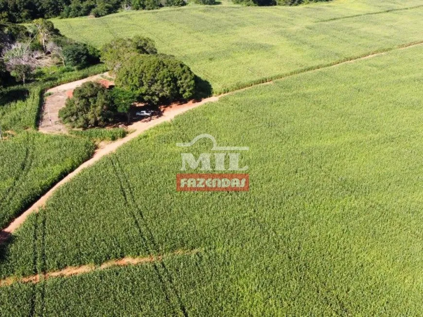 Foto 1 de Fazenda/Sítio à venda, 856m² em Zona Rural, Figueirópolis