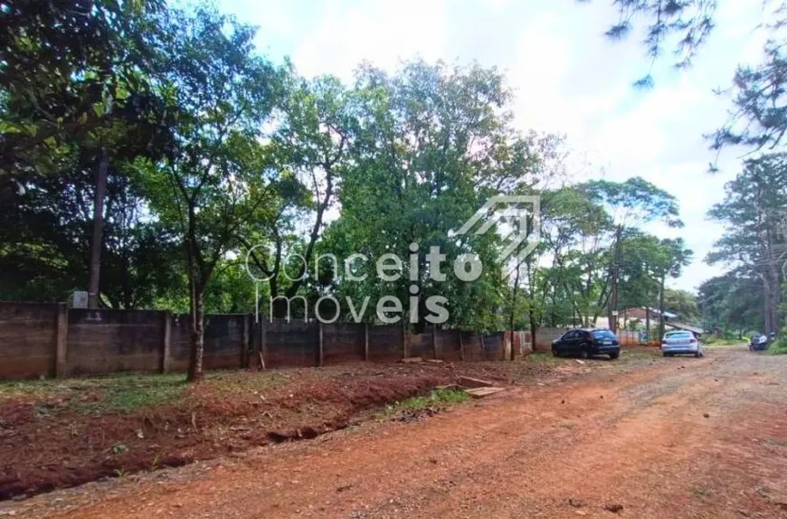 Foto 1 de Lote/Terreno à venda, 5000m² em Chapada, Ponta Grossa