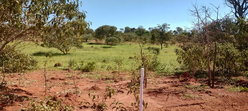 Foto 1 de Lote/Terreno à venda, 20000m² em Zona Rural, Jequitibá