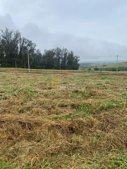 Foto 1 de Lote/Terreno à venda, 250m² em Colinas do Castelo, Jaguariúna