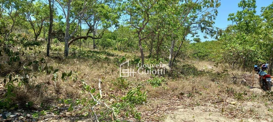 Foto 1 de Lote/Terreno à venda, 500m² em Zona Rural, Pirenópolis