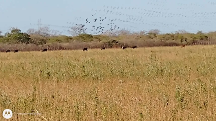 Foto 1 de Fazenda/Sítio à venda, 328000m² em , Tabuleiro do Norte