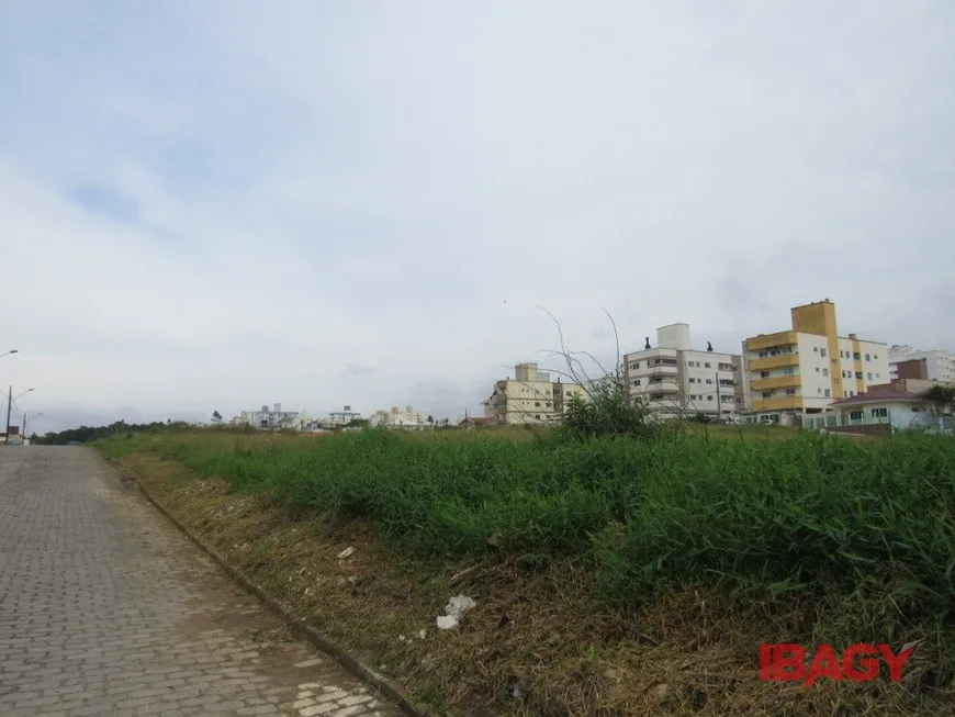 Foto 1 de Lote/Terreno para alugar, 360m² em Areias, São José