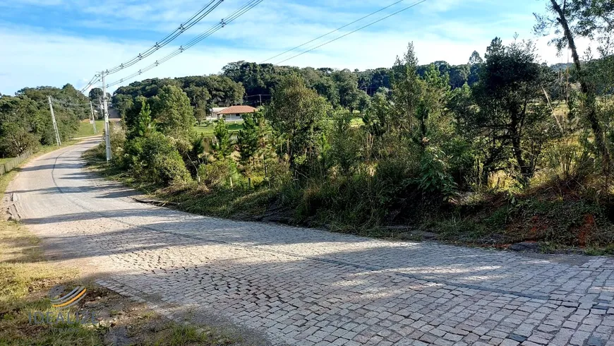 Foto 1 de Fazenda/Sítio à venda, 10680m² em Campestre da Faxina, São José dos Pinhais