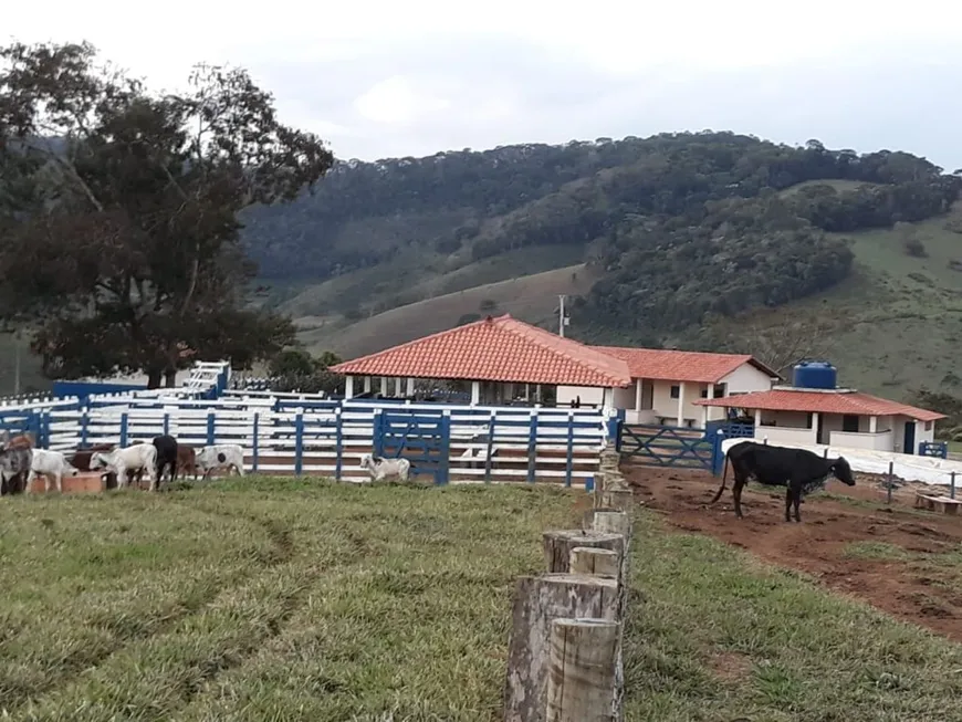 Foto 1 de Fazenda/Sítio com 5 Quartos à venda, 350000m² em Rio Melo, Rio Espera