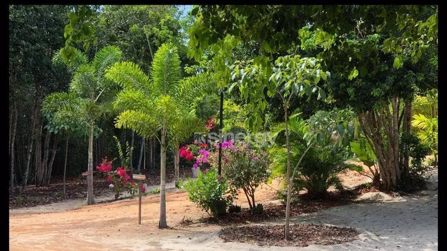 Foto 1 de Lote/Terreno à venda, 3536m² em Praia de Pipa, Tibau do Sul