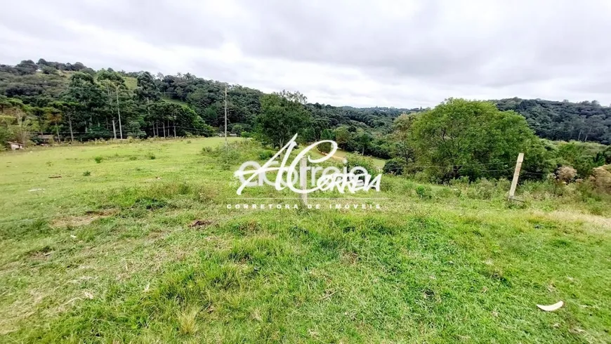 Foto 1 de Fazenda/Sítio à venda, 51500m² em Ferraria, Campo Largo