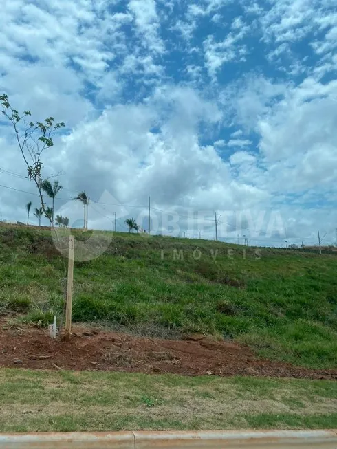 Foto 1 de Lote/Terreno à venda, 472m² em Granja Marileusa , Uberlândia