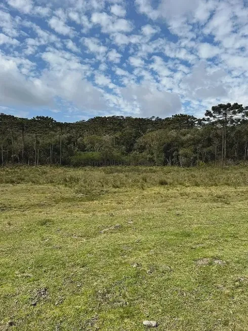 Foto 1 de Fazenda/Sítio à venda, 140000m² em Riacho, Urubici