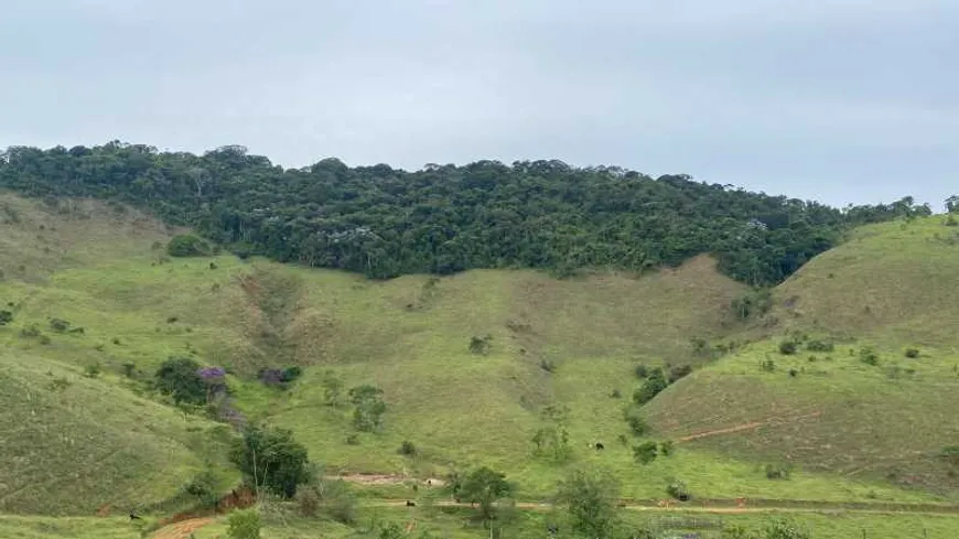 Foto 1 de Fazenda/Sítio com 1 Quarto à venda, 260000m² em Centro, Santos Dumont