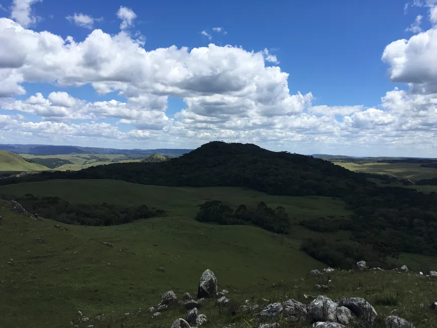 Foto 1 de Fazenda/Sítio com 1 Quarto à venda, 20000m² em Osvaldo Kroeff, Cambará do Sul