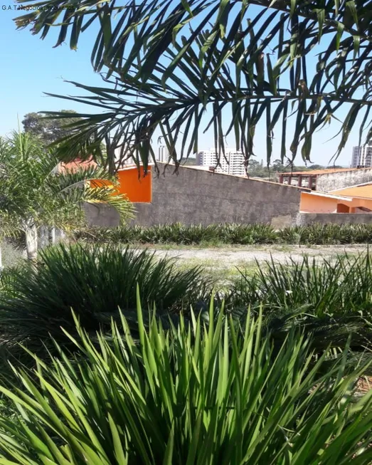 Foto 1 de Lote/Terreno para alugar, 250m² em Jardim America, Sorocaba